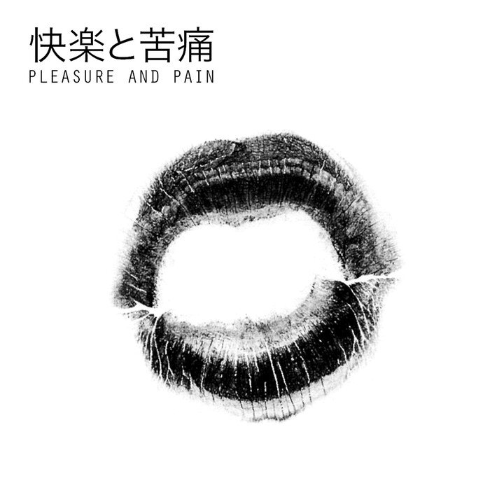 DJEDJOTRONIC feat MISS KITTIN - Pleasure & Pain