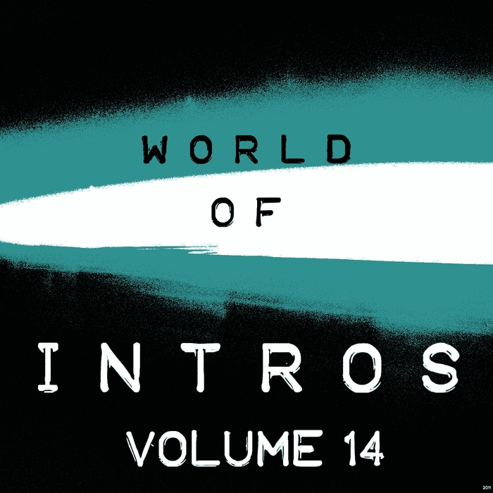 VARIOUS - World Of Intros Vol 14 (Special DJ Tools)