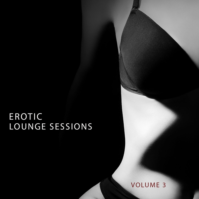 VARIOUS - Erotic Lounge Session Vol 3 (Finest In Deep House & Electronic Dance Music)