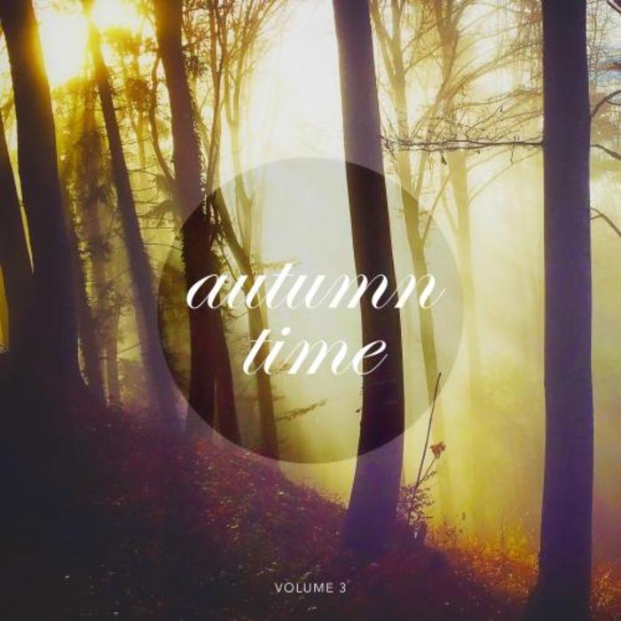 VARIOUS - Autumn Time Vol 3
