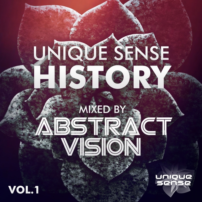 ABSTRACT VISION/VARIOUS - Unique Sense History Vol 1