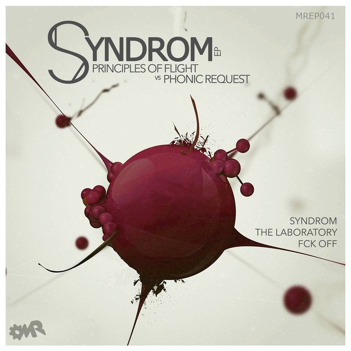 PHONIC REQUEST/PRINCIPLES OF FLIGHT - Syndrom