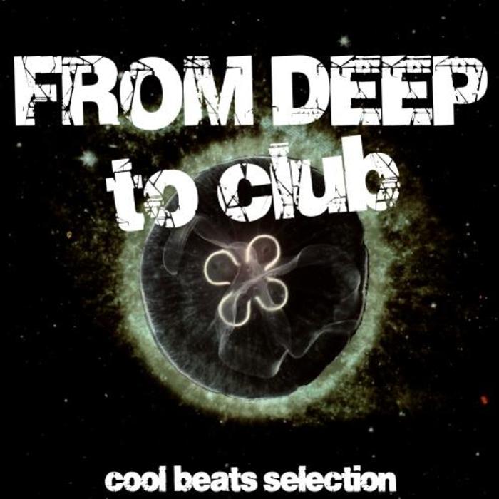 VARIOUS - From Deep To Club