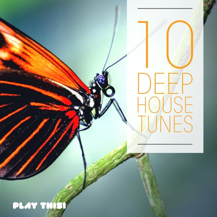 VARIOUS - 10 Deep House Tunes