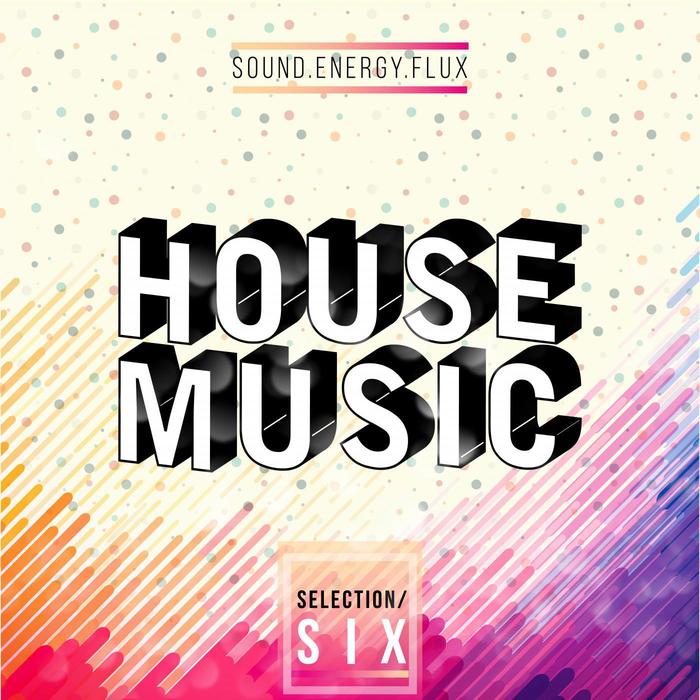 VARIOUS - House Music Selection SIX