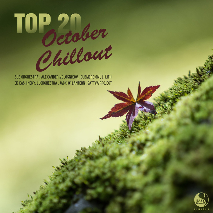 VARIOUS - Top 20 October Chillout