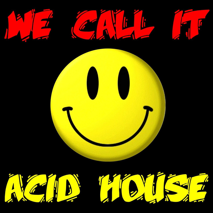 VARIOUS - We Call It Acid House