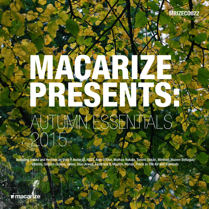 VARIOUS - Macarize Autumn Essentials 2015