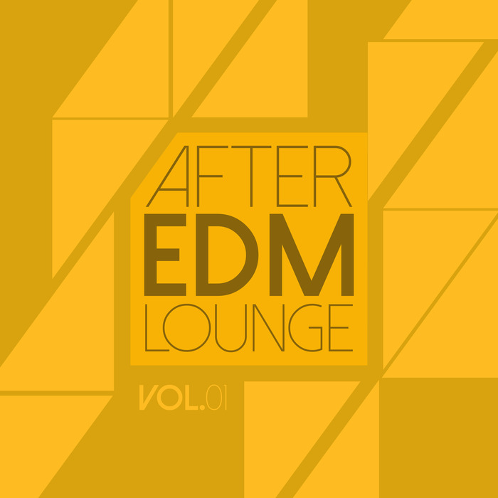 CARLI ROWBERRY/VARIOUS - After EDM Lounge Vol 1
