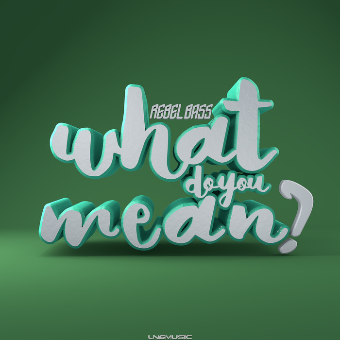 REBEL BASS - What Do You Mean?