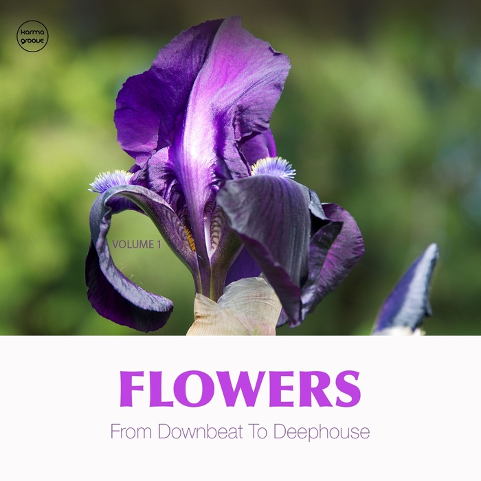 VARIOUS - Flowers Vol 1 (From Downbeat To Deep House)
