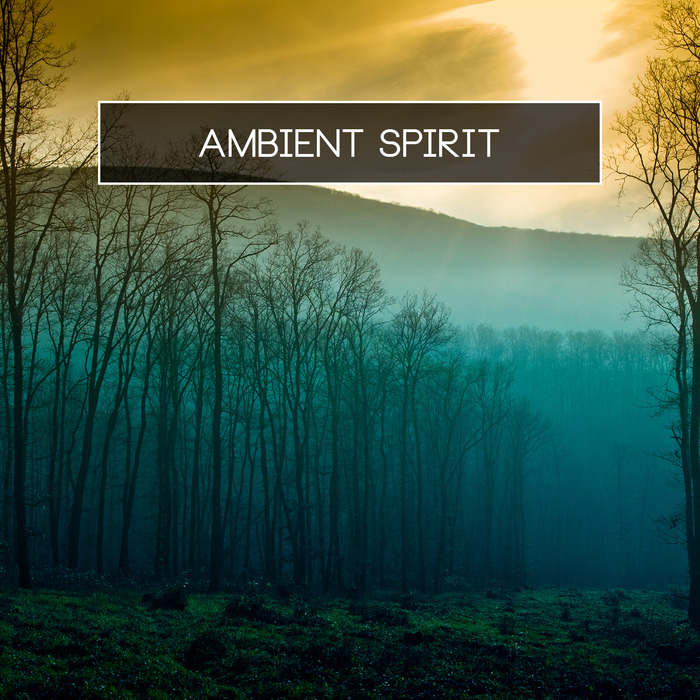 VARIOUS - Ambient Spirit