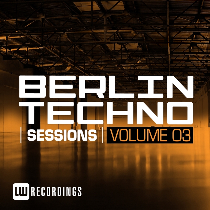 VARIOUS - Berlin Techno Sessions Vol 3