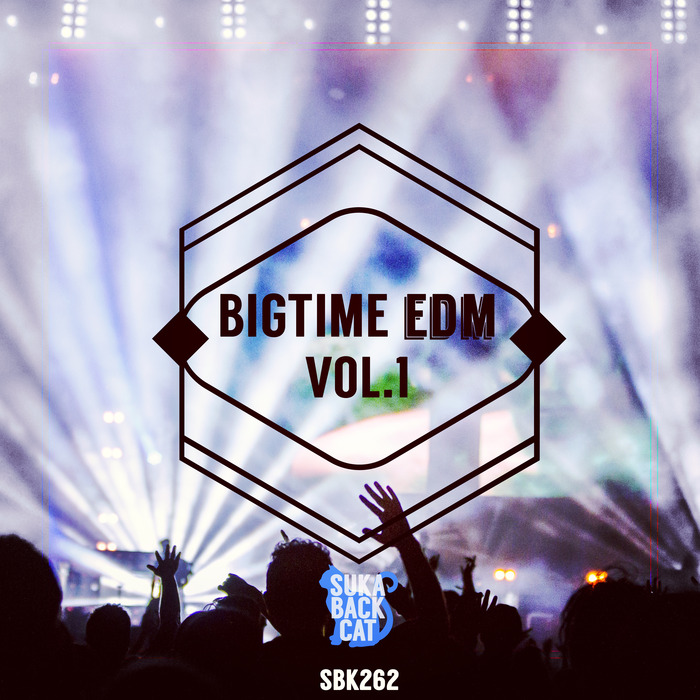 FOS - Bigtime EDM Vol 1