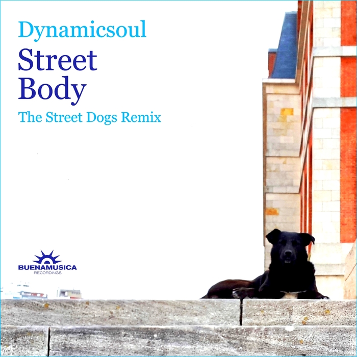 DYNAMICSOUL - Street Body/The Street Dogs Remix