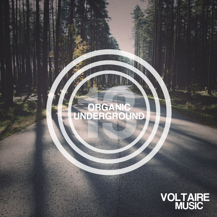 VARIOUS - Organic Underground Issue 13