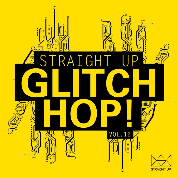 VARIOUS - Straight Up Glitch Hop Vol  12
