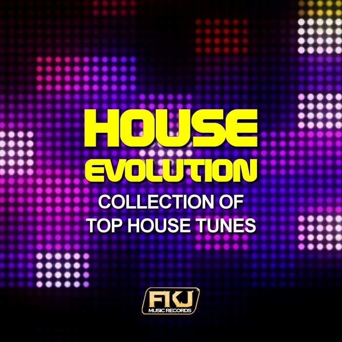 VARIOUS - House Evolution (Collection Of Top House Tunes)