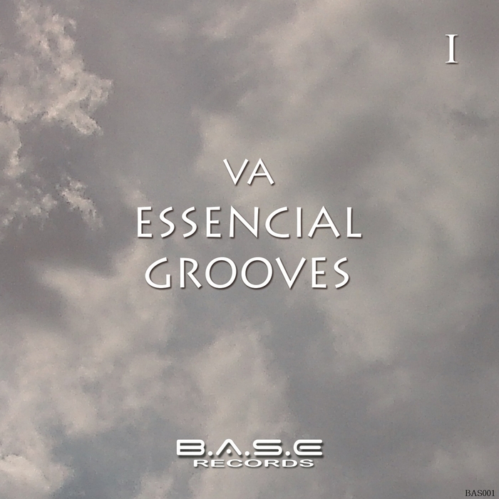 VARIOUS - Essencial Grooves