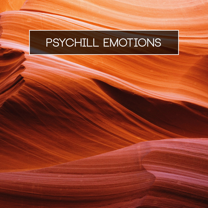 VARIOUS - Psychill Emotions