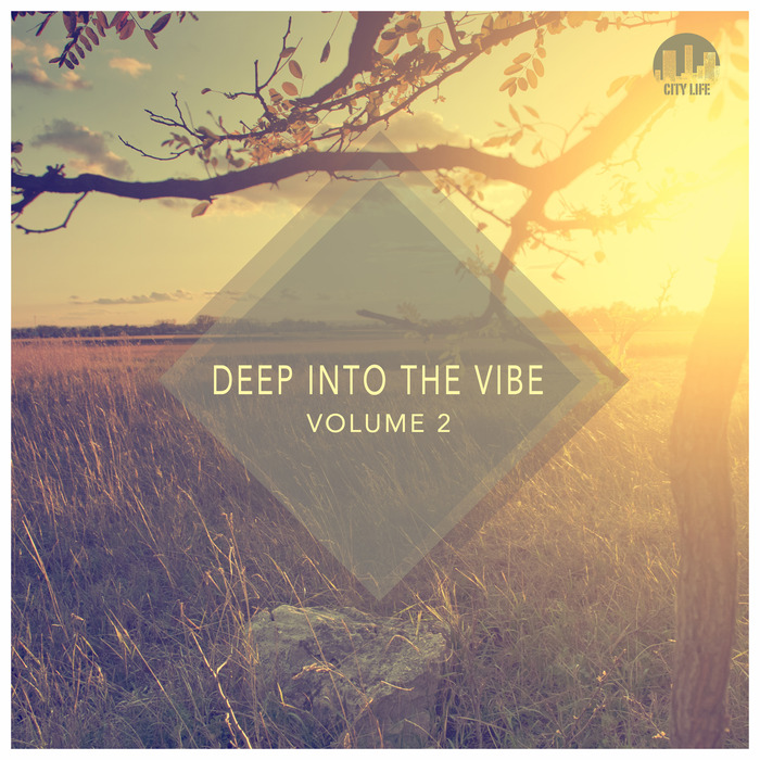 VARIOUS - Deep Into The Vibe Vol 2