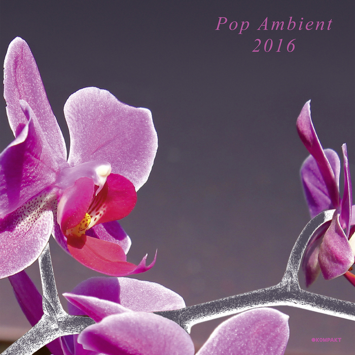 VARIOUS - Pop Ambient 2016