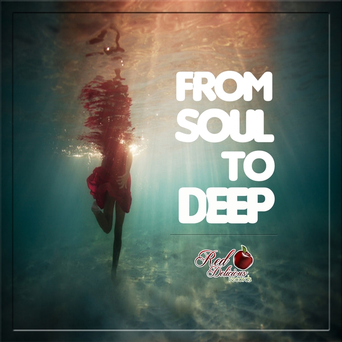 VARIOUS - From Soul To Deep