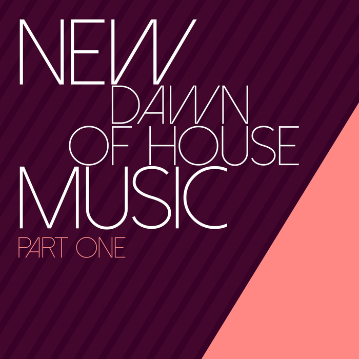 VARIOUS - New Dawn Of House Music: Part One