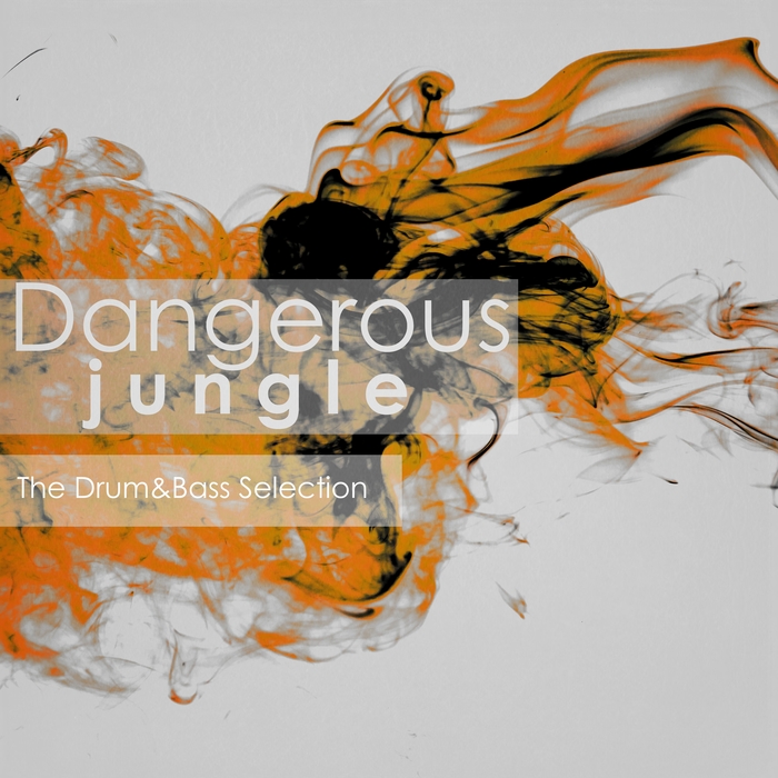 VARIOUS - Dangerous Jungle: The Drum&Bass Selection