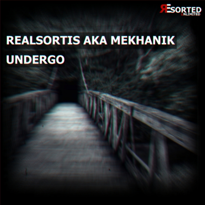 REALSORTIS aka MEKHANIK - Undergo