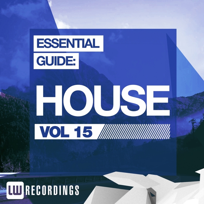 VARIOUS - Essential Guide: House Vol 15