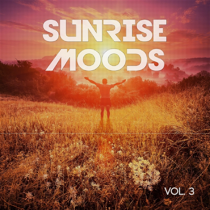 VARIOUS - Sunrise Moods Vol 3