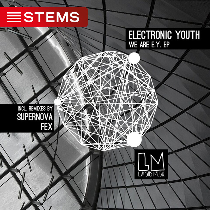 ELECTRONIC YOUTH - We Are EY EP