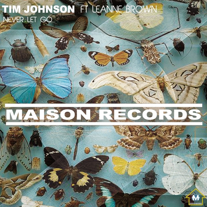 TIM JOHNSON feat LEANNE BROWN - Never Let Go