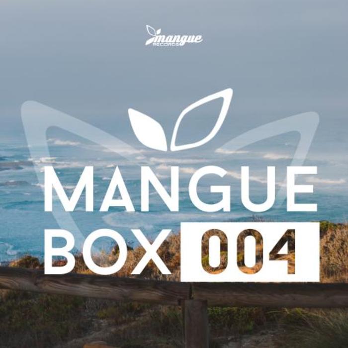 VARIOUS - Mangue Box 004