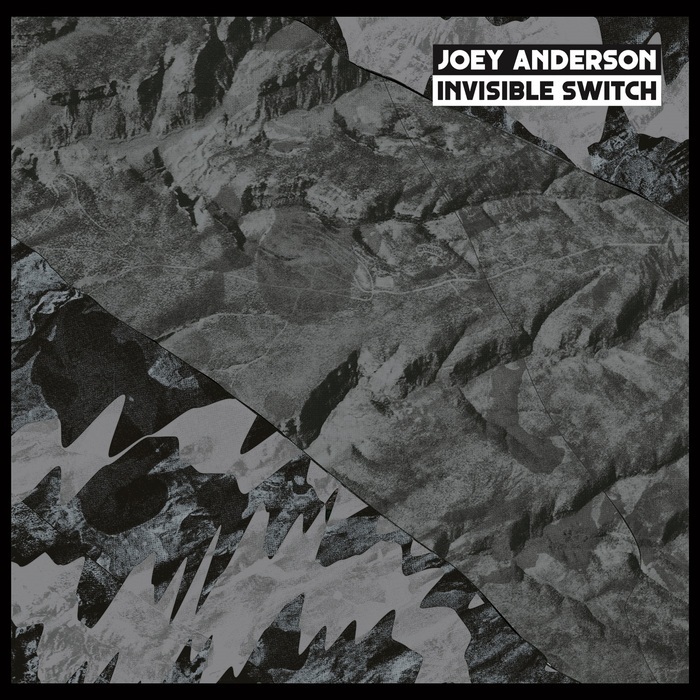 JOEY ANDERSON - Invisible Switch