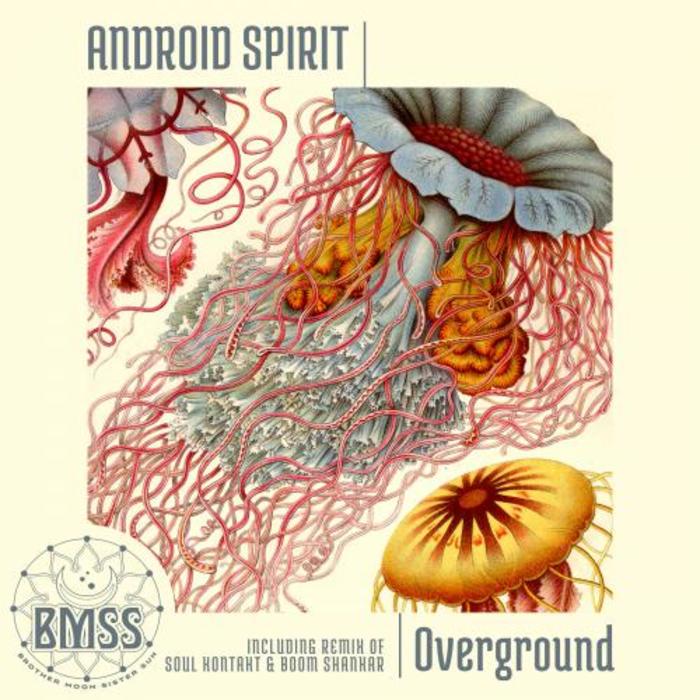 BOOM SHANKAR/ANDROID SPIRIT & SOUL KONTAKT - Overground