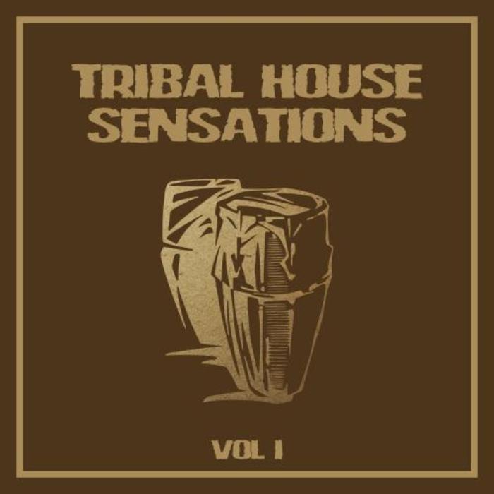 VARIOUS - Tribal House Sensations Vol 1