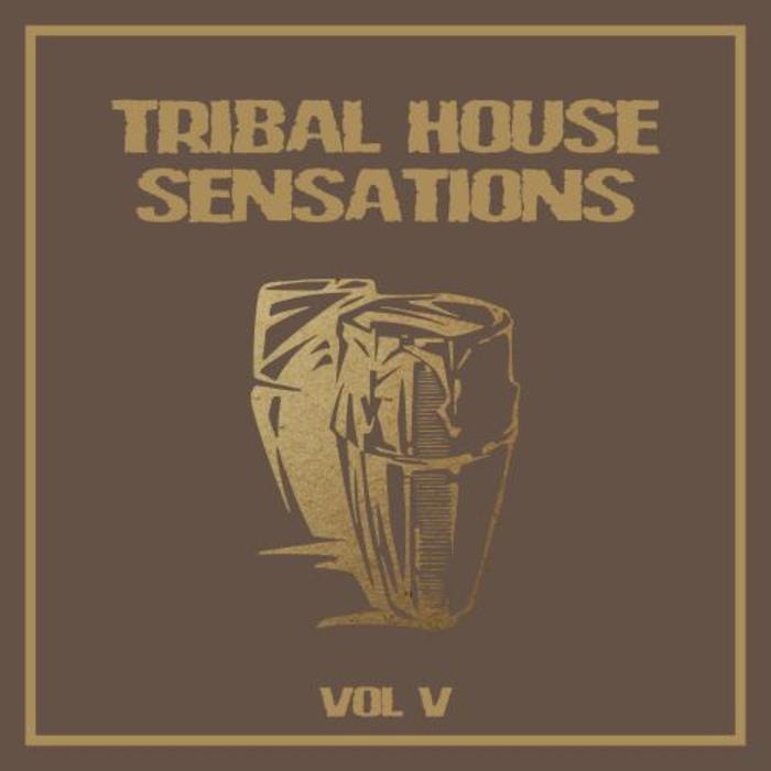 VARIOUS - Tribal House Sensations Vol 5