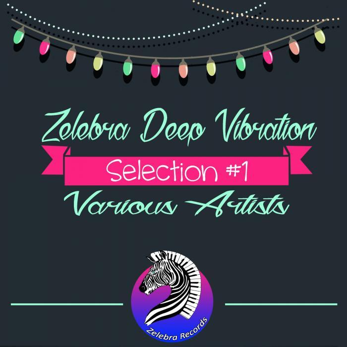 VARIOUS/SIMON GROOVE - Zelebra Deep Vibration Selection #1
