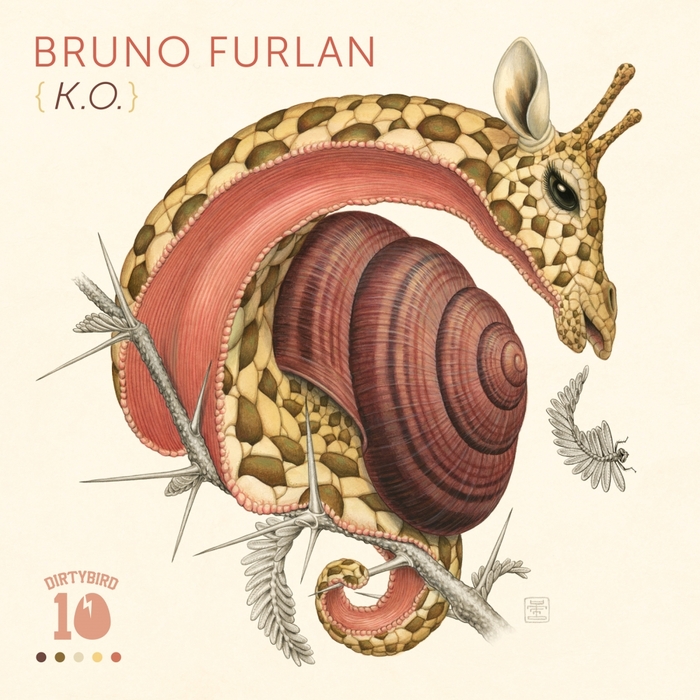BRUNO FURLAN - KO