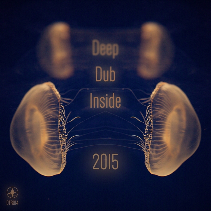 VARIOUS - Deep Dub Inside 2015