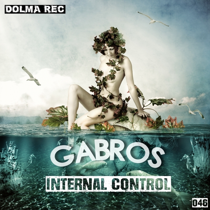 GABROS - Internal Control