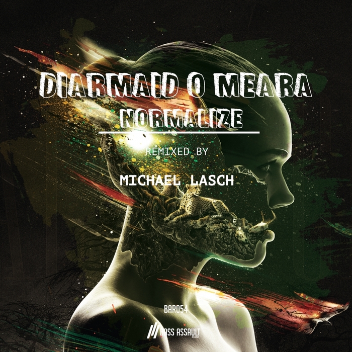 DIARMAID O MEARA - Normalize