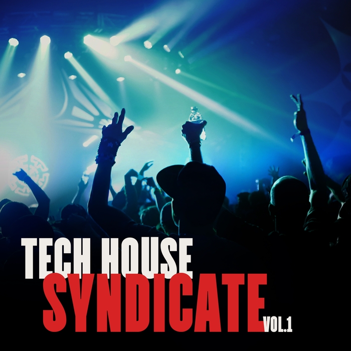 VARIOUS - Tech House Syndicate Vol 1