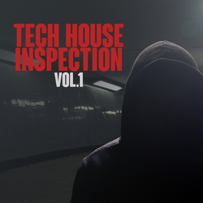 VARIOUS - Tech House Inspection Vol 1