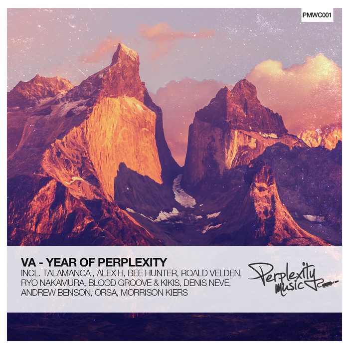 BEE HUNTER/VARIOUS - Year Of Perplexity (unmixed tracks)