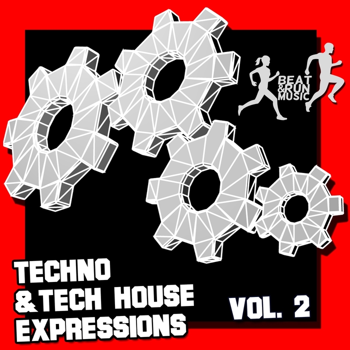 VARIOUS - Techno & Tech House Expressions Vol 2