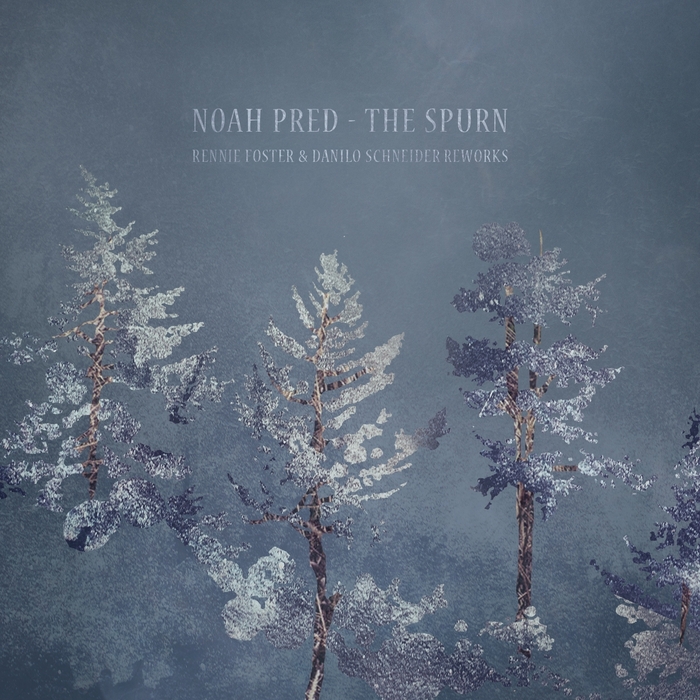 NOAH PRED - The Spurn