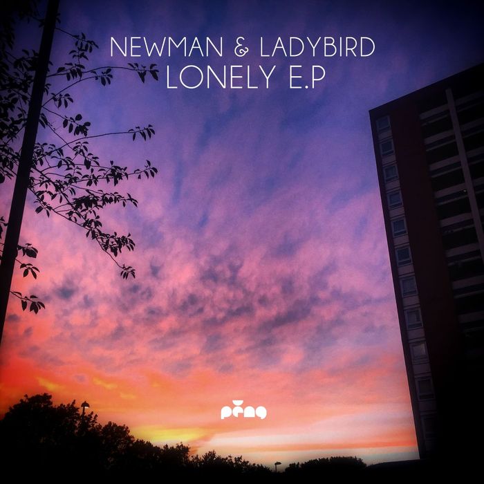 NEWMAN/LADYBIRD - Lonely